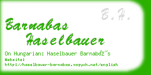 barnabas haselbauer business card